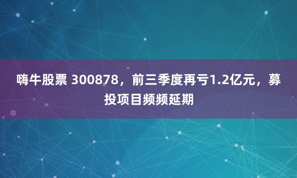 嗨牛股票 300878，前三季度再亏1.2亿元，募投项目频频延期