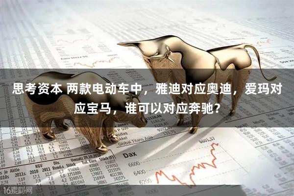 思考资本 两款电动车中，雅迪对应奥迪，爱玛对应宝马，谁可以对应奔驰？